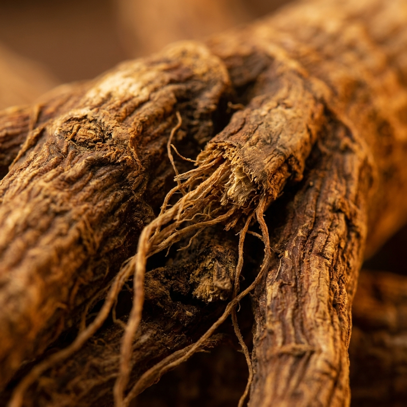 Panax Ginseng 200mg